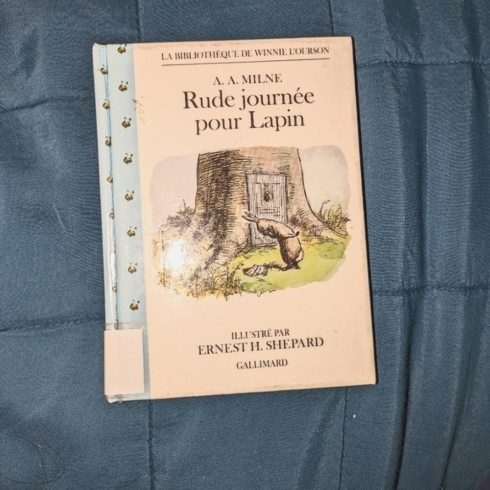 Free Add On Livre french kid book